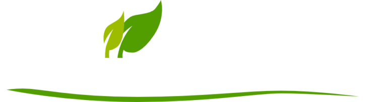 Green Paradise City